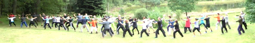 Akademie des DTB-Dachverbands empfiehlt zertifizierte Lehrer-Ausbildung für Qigong, Tai Chi und Push Hands